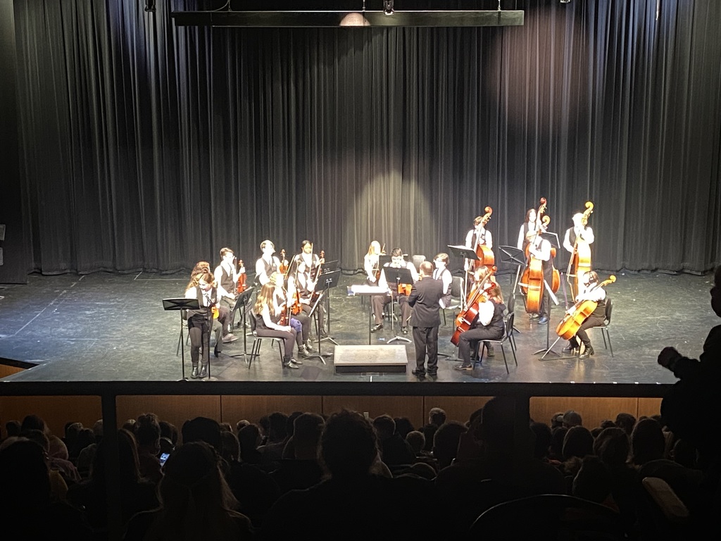 DMS Orchestra